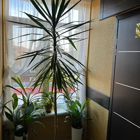 парк Hotel Morshyn